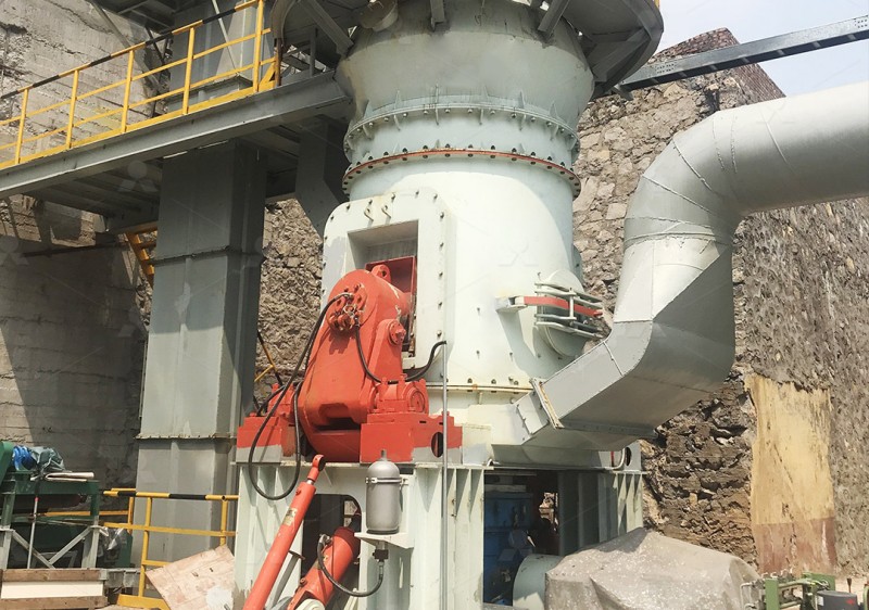 LM vertical roller mill for food grade powder