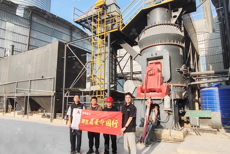 LM vertical roller mill for gypsum powder production