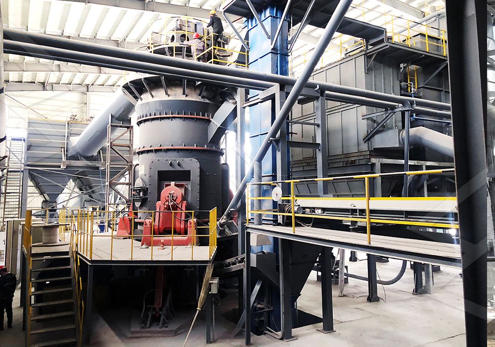 LM Vertical Roller Mill in industrial setting