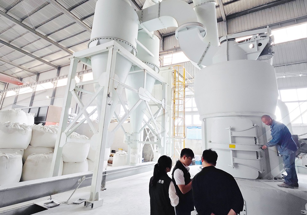 Complete coal powder grinding plant