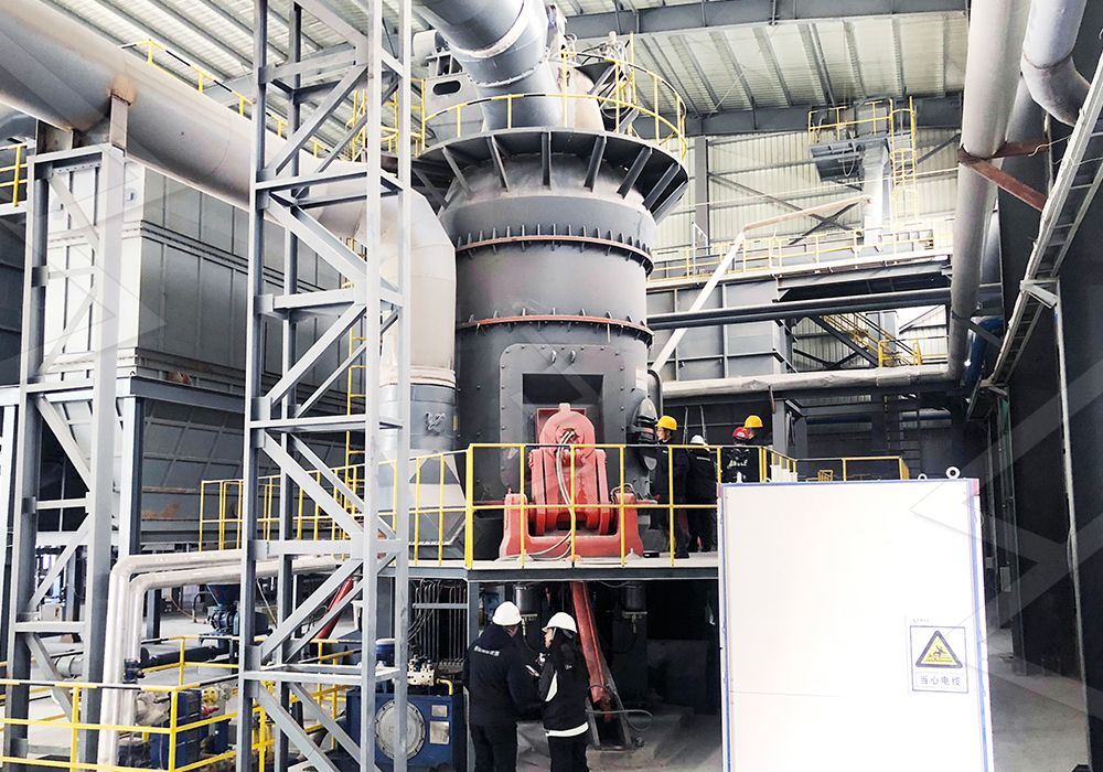 Grinding process diagram of vertical roller mill